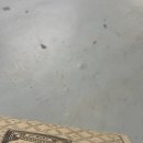 광훈오토바이