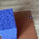 허리골절직장인의 리본요가 요가지도자과정 일요일반 38기 후기