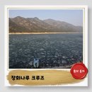 월악나루 선착장3 | 단양 장회나루크루즈 유람선 소요시간 및 예약방법 코스 총정리