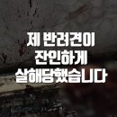 아보네 멍빌리지 이미지