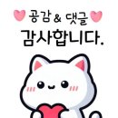 은주네 반찬 | 🍀 청국장, 제육쌈밥, 갈치찌개 대구 동구 맛집 현지인만 찾아가는 은주 칼국수 내돈내산 솔직 후기