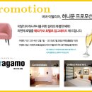 하이디여행사 이미지