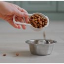 강아지와 고양이 이미지