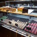 오로라카페 이미지