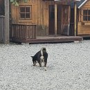 감골오리 | 기장 오리고기 맛집 '감골가든' 솔직후기