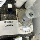 광주칼라덴트