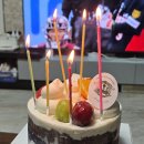 062케이크 | 궁전제과 블루베리 요거트 케이크 내돈내산 솔직 후기! 생일케이크 추천으로 만족한 광주 디저트 맛집
