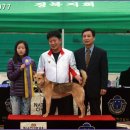 달아실 농원 이미지