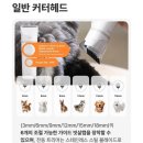 진동애견
