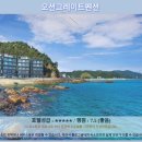 강릉 오션그레이트펜션 솔직 후기! 인생 오션뷰에 감동