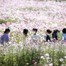 동림북구 어린이집 이미지