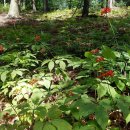 유창농장 이미지