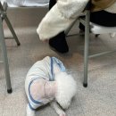 유토피아빌딩 | [공지] [경남/김해] AI와 향기로 만나는 가족친화 프로그램 자기이해만다라 워크숍