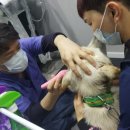 진숙농장 이미지