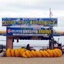 물보라 해양레포츠 Daum카페