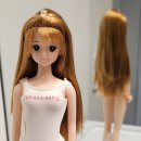 타카라바코