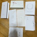 주간일기 14. 막차타기