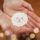 트루러브 | [내돈내산] 강아지 신발 추천! '트루러브 산책 운동화'로 우리 아이 발바닥 화상 염화칼슘 접촉 예방해요