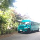 '쉼표가 있는 농촌 숲 속 여행 5탄', 쌉싸름한 향기 솔솔, 건강해지는 금산 여행 이미지