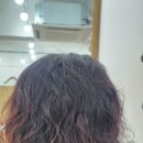 살롱라헬