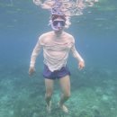 3박4일 필리핀 세부여행(세부퍼시픽(Cebu Pacific),플랜테이션 베이(Plantation Bay)