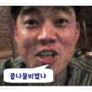 정일회계법인 이미지
