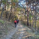 예향천리마실길 6코스 방장산길 이미지