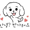 체리쉬펫 이미지