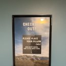 나무그늘 밑의 휴식 | 7. 랑이토토 별거 없고요 오클랜드 일상입니다