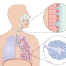 서울역한의원 이미지