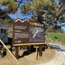 성의고등학교 | 김천 새로 생긴 공원 지좌황산공원 후기
