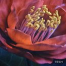 여수 여행코스 추천 l 사진 그 이상의 추억, 여수 아르떼뮤지엄 l 소요시간, 복장 추천