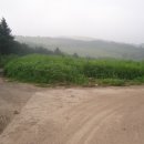 마당두들약수터 이미지