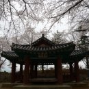 현대남산주유소 네이버블로그