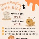 커몬댕댕 광주애견유치원&애견호텔 이미지