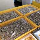 제주시동문재래시장 이미지