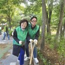 온천2동-4 이미지