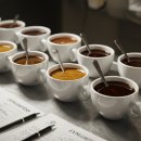 [단일과정] 바리스타 이미지