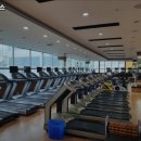 세심헬스 이미지