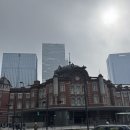 에스더하우스 | 일본 워킹홀리데이 후기 4주차 (도쿄에서 오사카 신칸센)