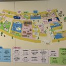 (주)게임알로 | 용인 미르스타디움 '어린이 상상의숲' 다녀온 후기