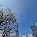 호수의아침 | 석촌호수 벚꽃 산책 후기 🌸 아침 방문 추천 (잠실 봄 나들이 코스)