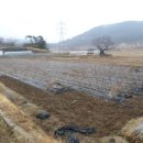 구현농장 이미지