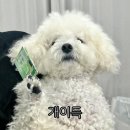 에이준 | 어두운 홀 본식스냅 에이준포토그라피 계약 후기 (대가성x)