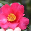 라뷰테제주 이미지