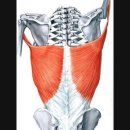 (주)1986피트니스 중산점 이미지