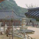 덕산도립공원 수덕사 주차장 | 설 연휴 국내 여행지 추천, 예산 수덕사 주차부터 맛집까지 총정리!