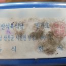 덕성식육식당 네이버블로그