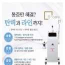 테라노바