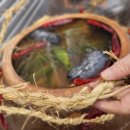 다솜초등학교 이미지